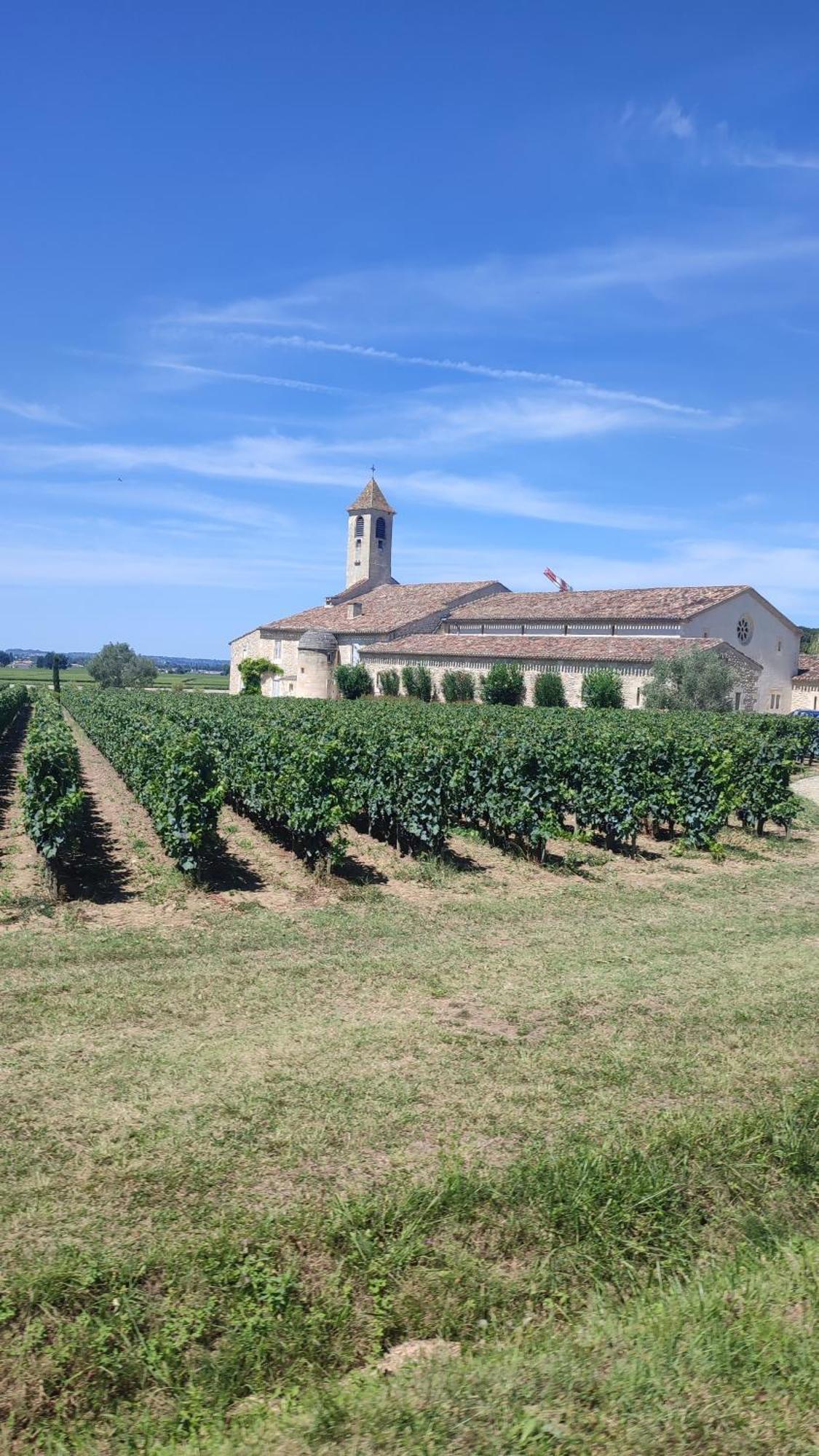 Maison Charmeilles - La Suite Saint Emilion Fronsac  Экстерьер фото