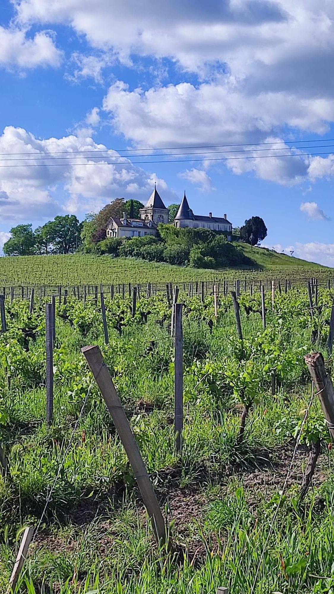 Maison Charmeilles - La Suite Saint Emilion Fronsac  Экстерьер фото