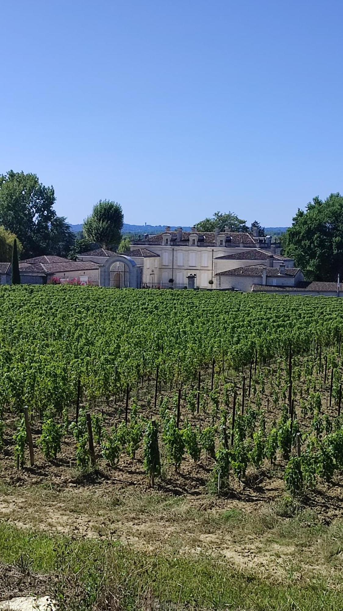 Maison Charmeilles - La Suite Saint Emilion Fronsac  Экстерьер фото